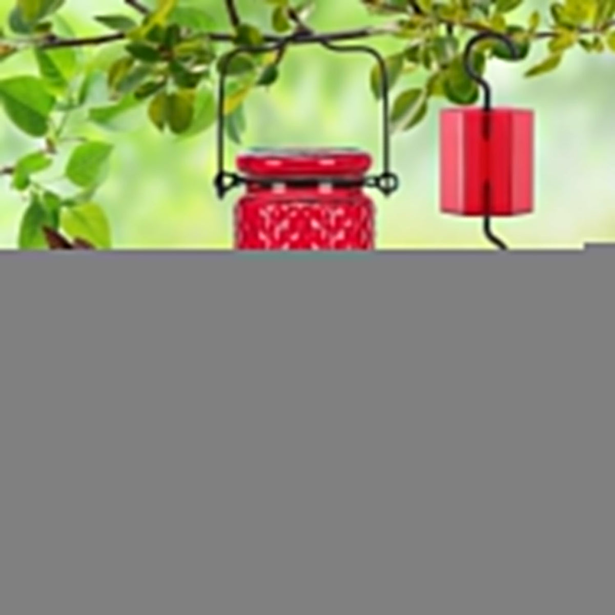 FEED GARDEN Glass Hummingbird Feeder, 16oz Outdoor Hanging Bird Feeder with Ant Moat, 4 Bee-Proof Feeding Ports, 360?Perch, Leak-Proof, Red