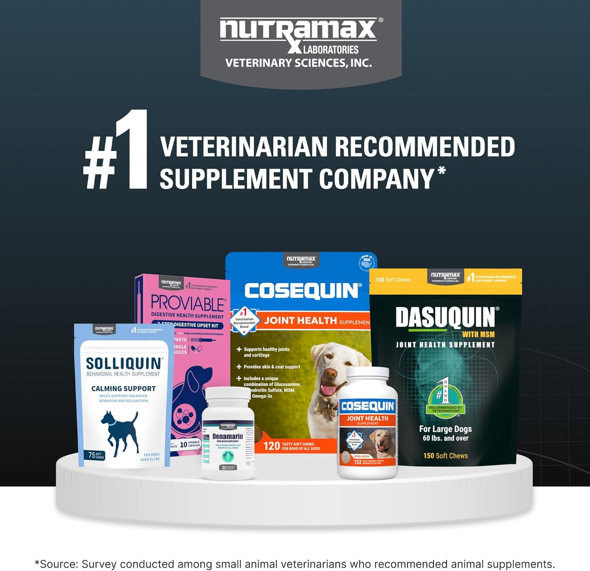 Nutramax Dasuquin for Small to Medium Dogs, Joint Health Supplement, Contains Glucosamine for Dogs, Plus Chondroitin, ASU, MSM and More, Supports Healthy Joints, Soft Chews, 84 Count