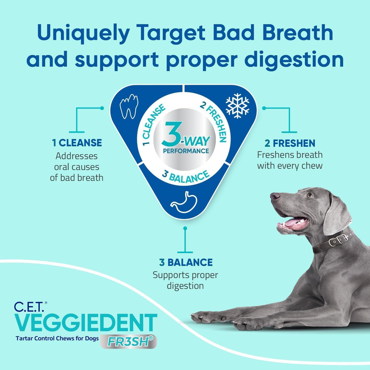 Virbac C.E.T.?VEGGIEDENT?FR3SH?Tartar Control Chews for Dogs with digestive health support, VOHC Approved, Medium 22-66lbs