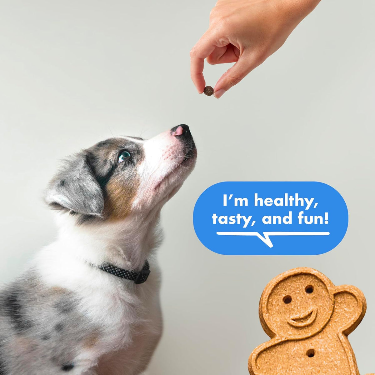 Buddy Biscuits Trainers 10 Oz. Pouch of Training Bites Soft & Chewy Dog Treats Made with Bacon Flavor
