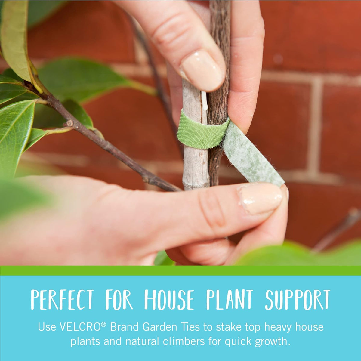 VELCRO Brand VEL-30071-USA ONE-WRAP Garden Ties | Plant Supports for Effective Growing | Strong Grips are Reusable and Adjustable | Cut-to-Length, 50 ft x 1/2 in, Green-Recycled Plastic