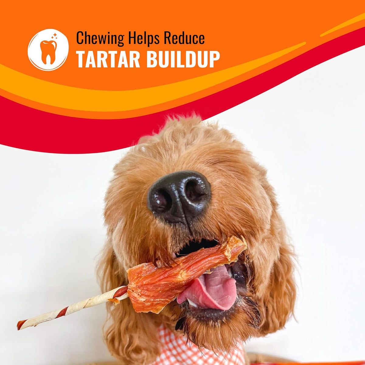 Good ??Fun Triple Flavor Rolls for Large Dogs, Treat Your Dog to Long-Lasting Chews Made with Real Beef Hide and Chicken, 6 Count