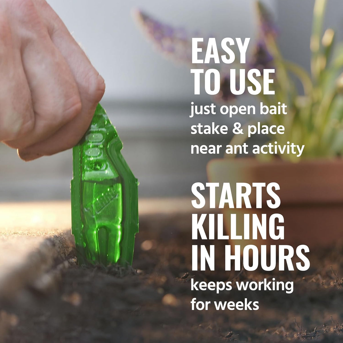 TERRO Liquid Ant Baits - T1813B - Outdoor Ready-to-Use Terro Ant Traps, Kills Household Ants, 12 Stakes